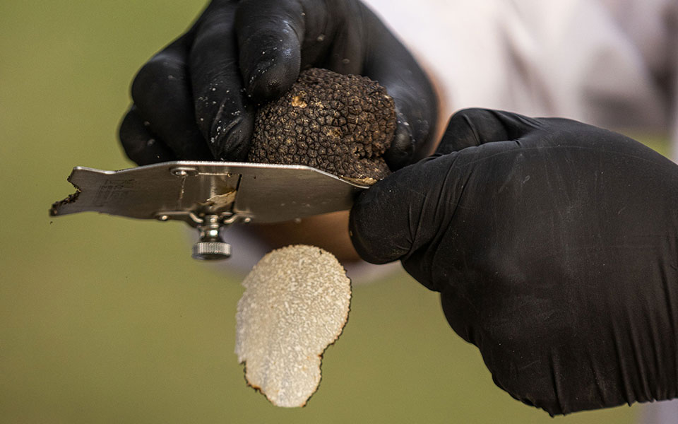 Tο τριήμερο της Aποκριάς ξεκινά το κυνήγι τρούφας στα Μετέωρα-2