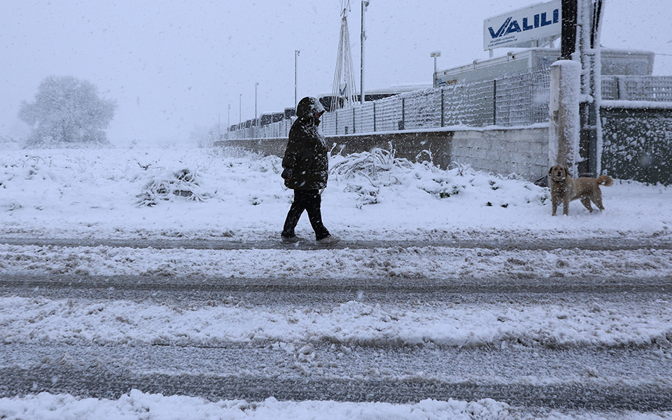κακοκαιρία-μπάρμπαρα-ακυρώσεις-δρ-562267078