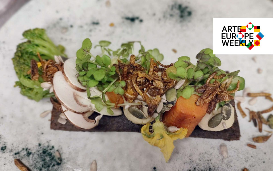 arte-η-ευρώπη-κάθε-εβδομάδα-τα-έντομα-562256971