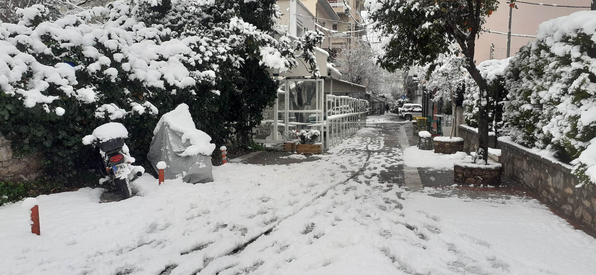 Κακοκαιρία «Μπάρμπαρα»: Χιονίζει ακατάπαυστα σε Βόλο και Πήλιο-1