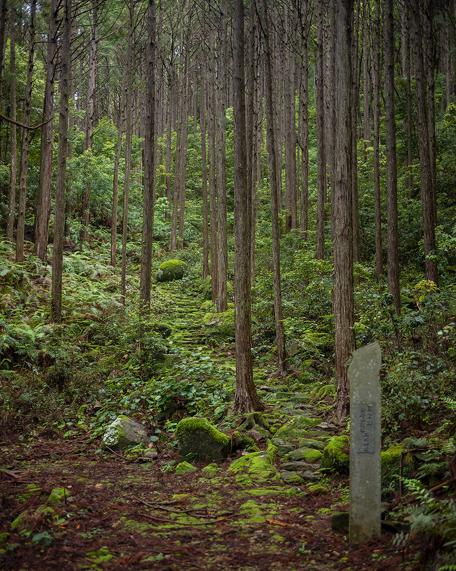 Aσία: Από το αρχαίο μονοπάτι Kumano Kodo της Ιαπωνίας στο οροπέδιο Ντέκαν της νότιας Ινδίας-8
