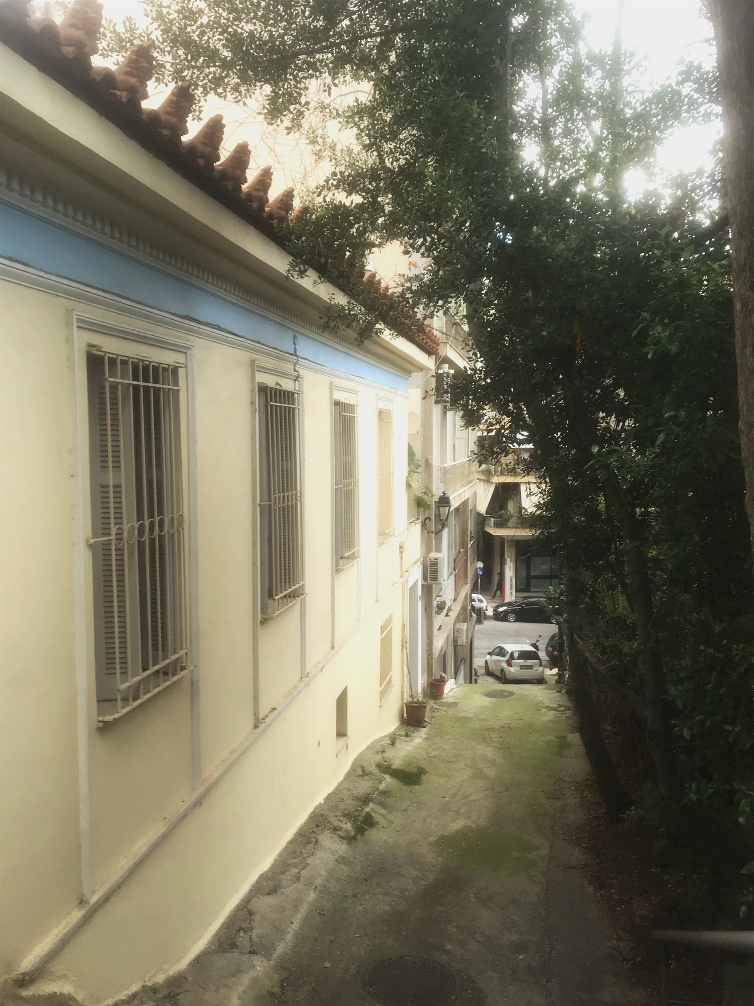 στις-ανηφοριές-του-αγίου-σπυρίδωνα-562274353