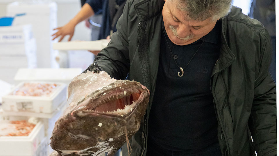 η-μέρα-που-η-πεσκανδρίτσα-έγινε-σταρ-ο-562282243