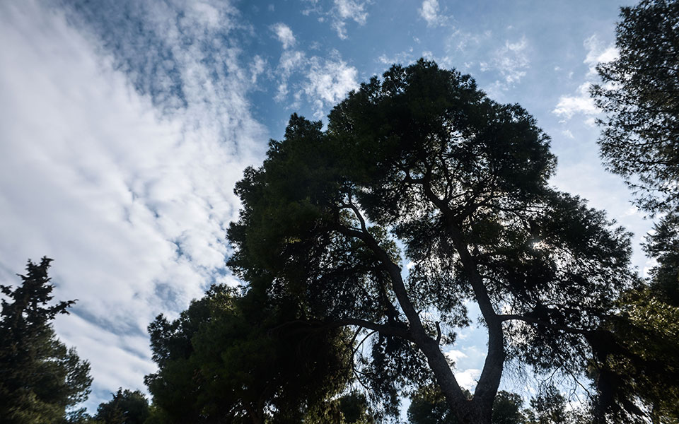 καιρός-σταδιακή-άνοδος-της-θερμοκρασ-562280248