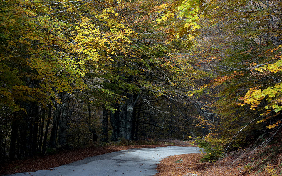 καιρός-πλησίασε-τους-22-βαθμούς-η-μέγισ-562286755