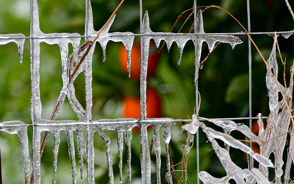 φωκίδα-ισχυρός-παγετός-το-πρωί-με-θερμ-562277701