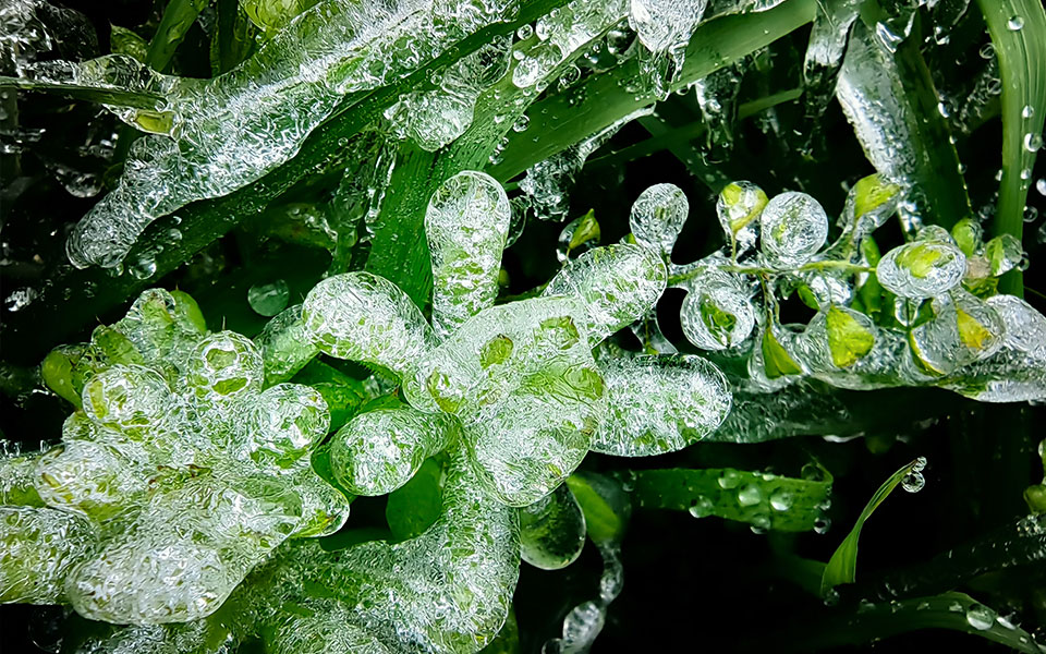 έως-τους-μείον-6-βαθμούς-έπεσε-στη-βόρει-562289443