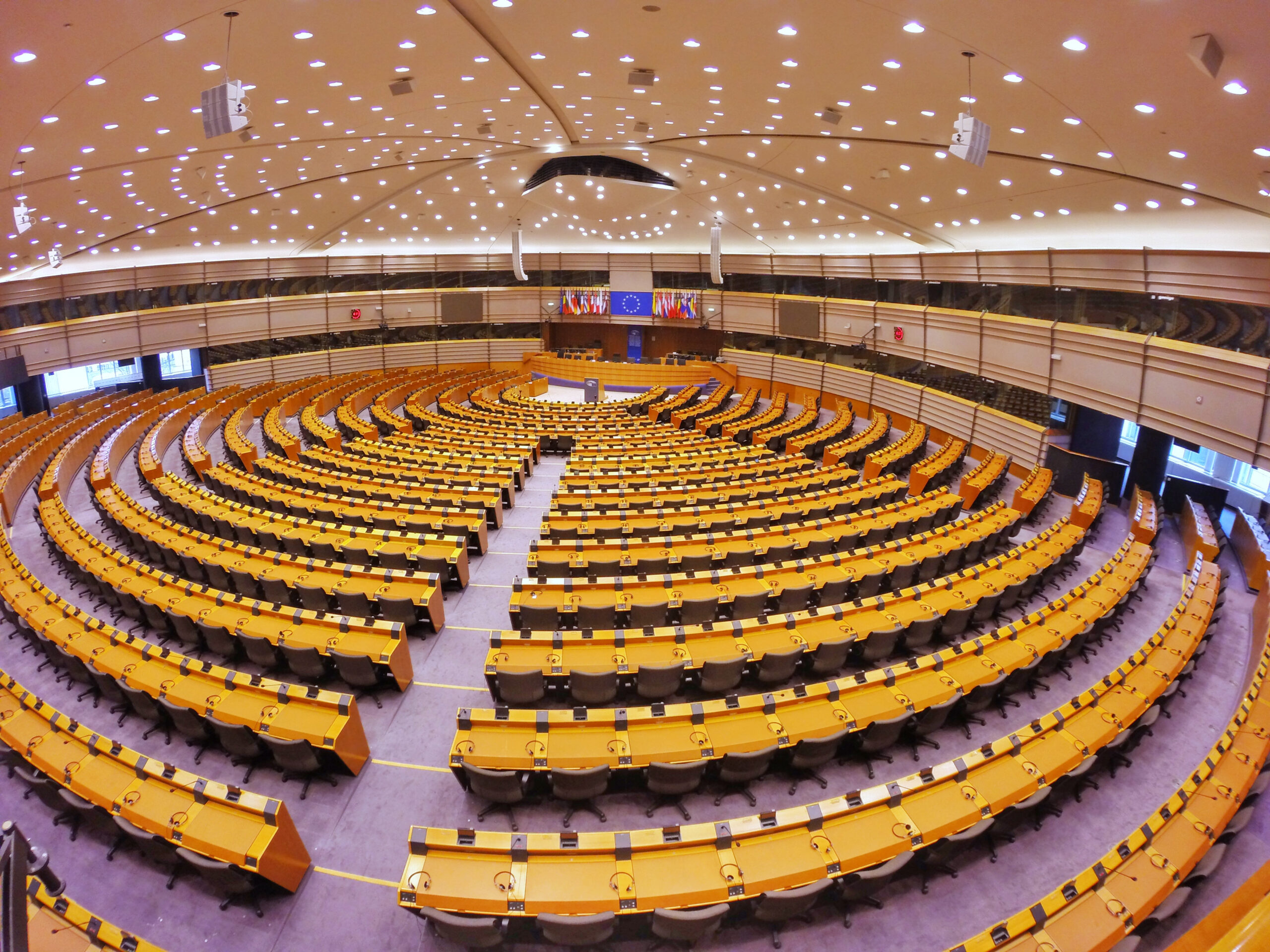 qatargate-εύα-καϊλή-να-μείνει-σπίτι-με-το-παιδ-562281784