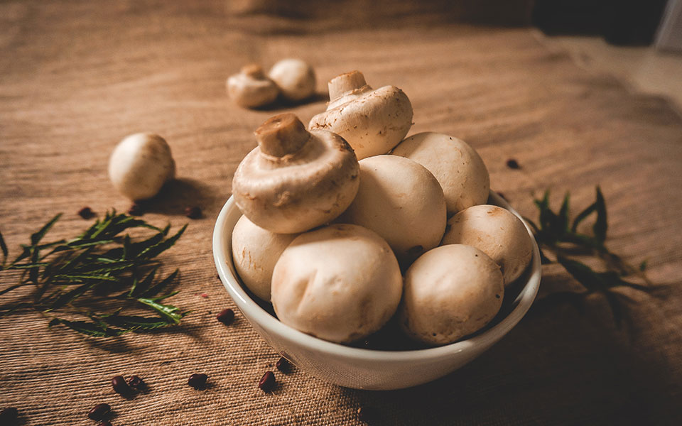 έρευνα-τα-τρόφιμα-που-βοηθούν-στη-μάχ-562277734