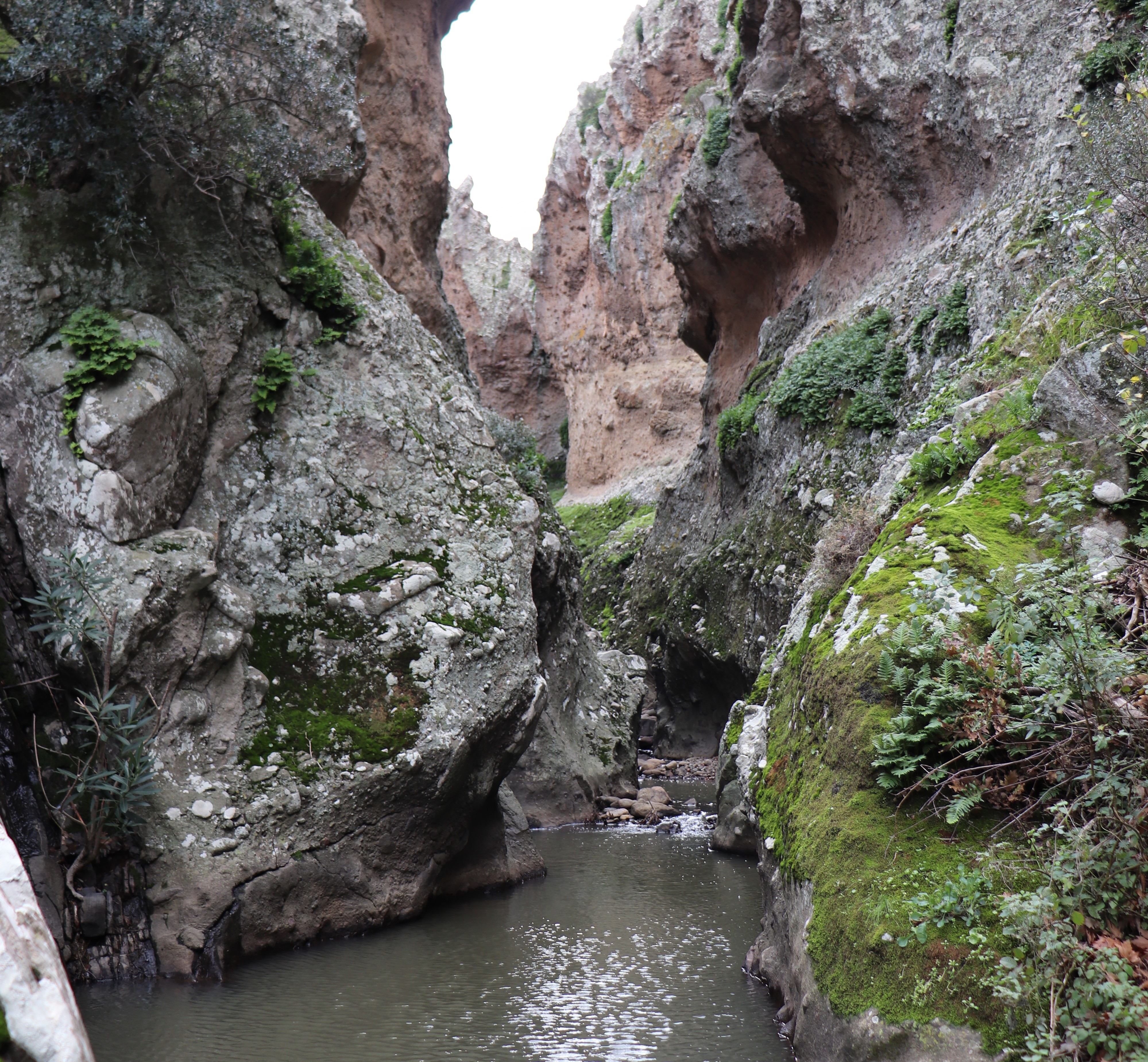 Το εντυπωσιακό φαράγγι του Βούλγαρη στη Λέσβο-1