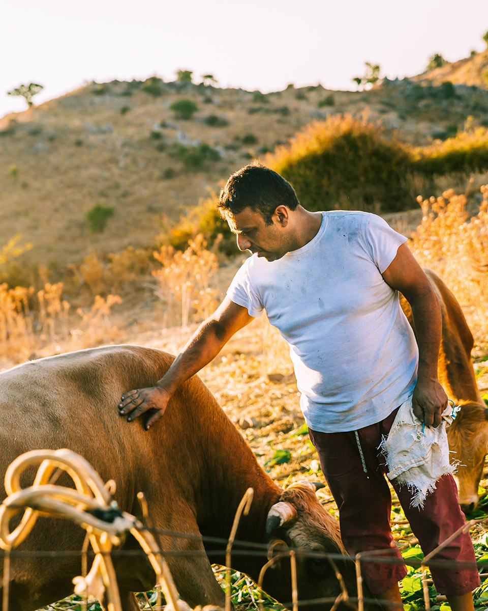 Ευρώπη: Από το Βόρειο Σέλας της νορβηγικής νύχτας στην ταβέρνα του Ντουνιά, στα Χανιά-9