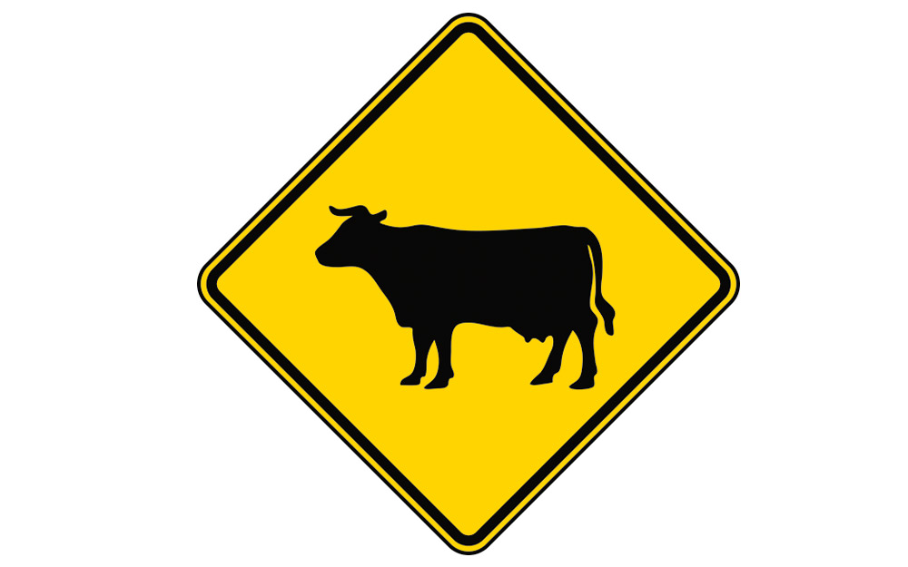 mπορούν-τα-ζώα-να-προβλέψουν-τους-σεισμ-562293634