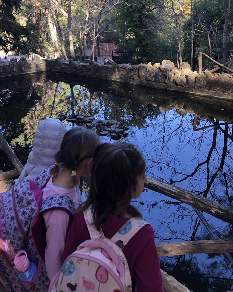 Οι σχολικοί θρίαμβοι της Δάειρας: Οταν το τυπικό σχολείο «αγκαλιάζει» ένα παιδί με αναπηρία-2