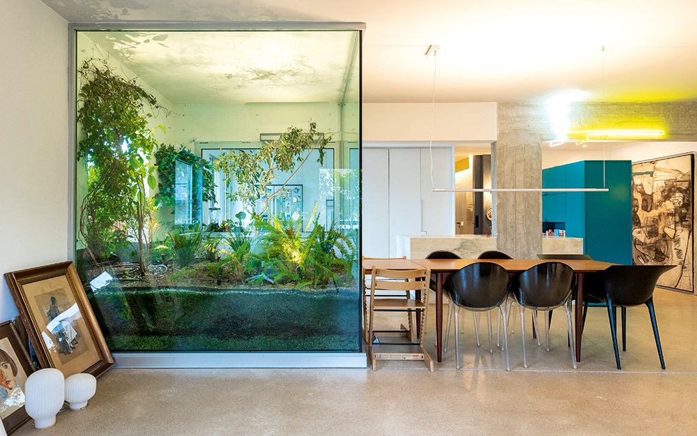 my-space-παιχνίδι-με-το-φως-και-τη-φύση-σε-ένα-δ-562320820