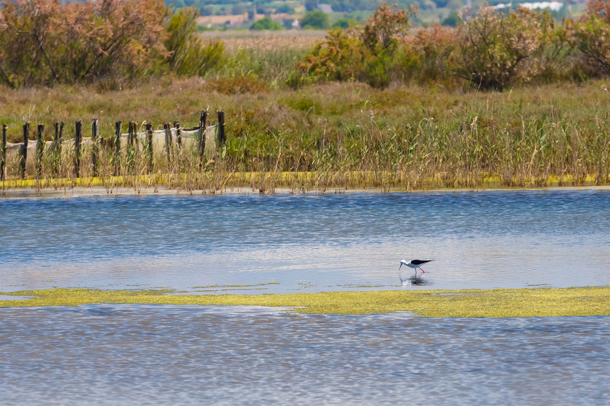φωτογραφικές-διατάξεις-στο-πολυνομο-562321381