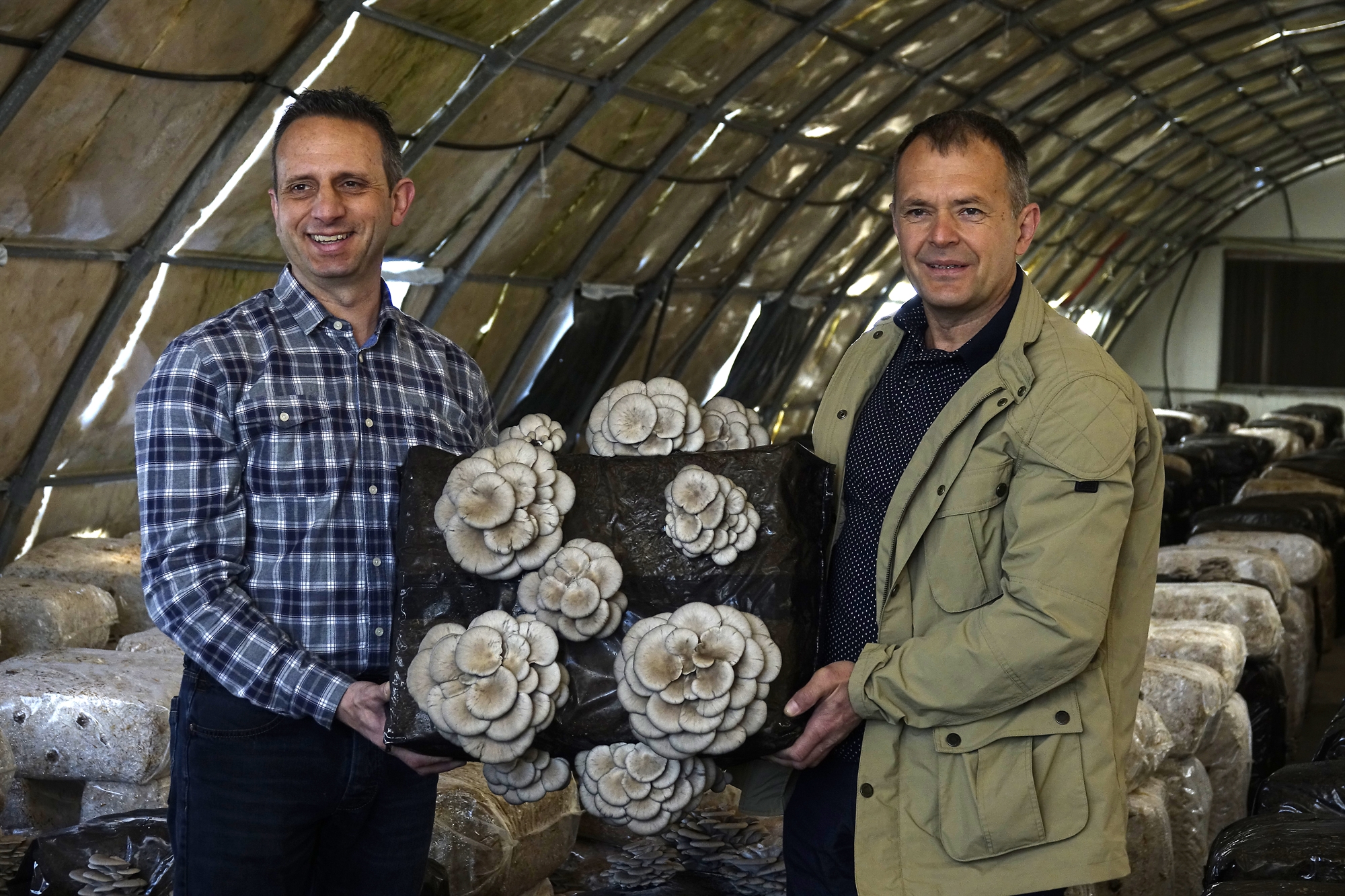 τσιπς-που-αδυνατίζουν-και-γάλα-που-κοι-562318093