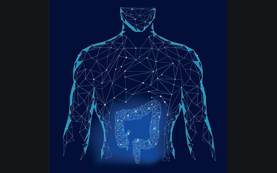 η-μάχη-με-τα-εκκολπώματα-562324579