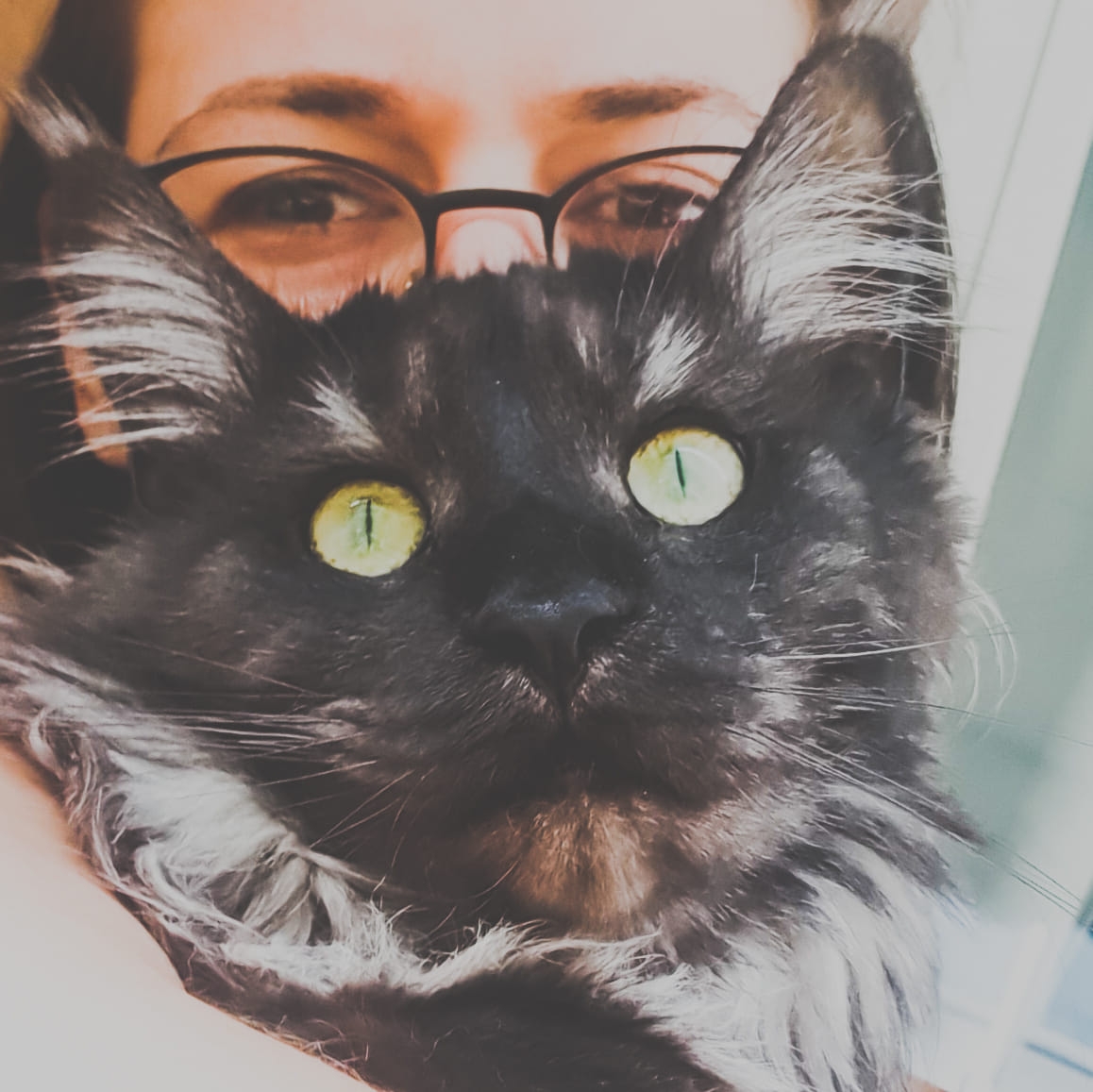 Υπόθεση κατασκοπείας: Η διπλή ζωή της «Μαρίας Τσάλλα» – Ποια ήταν και πώς έδρασε-4