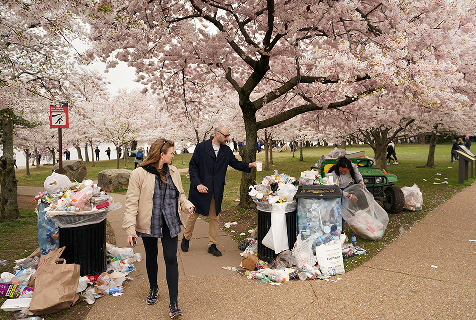 η-ομορφιά-της-άνοιξης-562343878