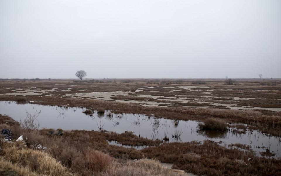 σε-εξέλιξη-έρευνες-για-τον-εντοπισμό-61χ-562307212