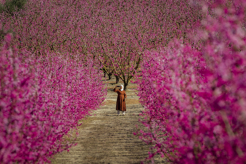 Τα ψάρια σώθηκαν-4