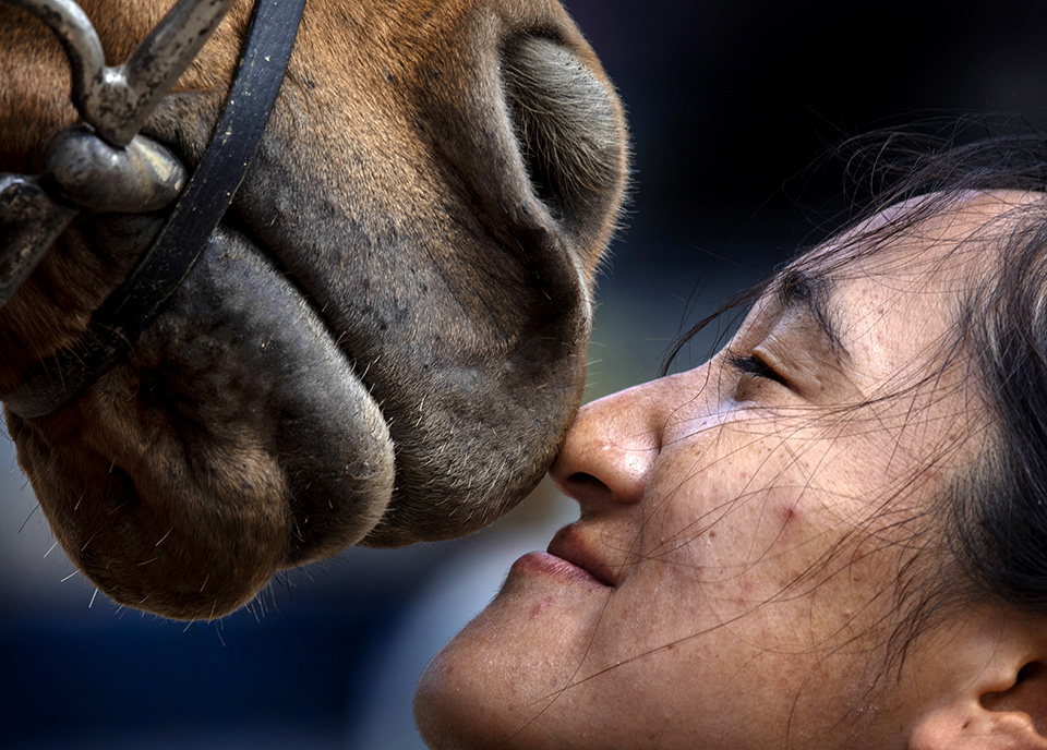 Τα ψάρια σώθηκαν-3
