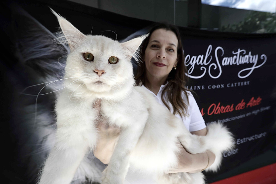 Η κυρά των χειμάρρων-3