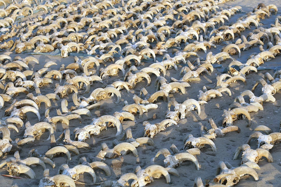 Η ομορφιά της άνοιξης-2