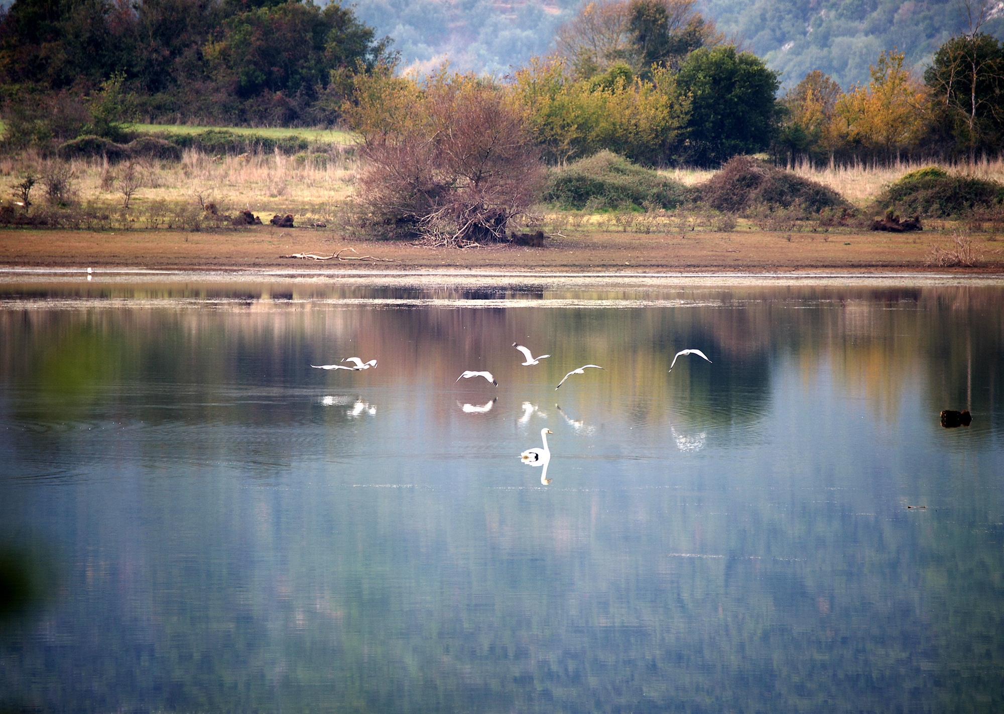 πολυνομοσχέδιο-εξπρές-με-κρίσιμες-ρ-562299562
