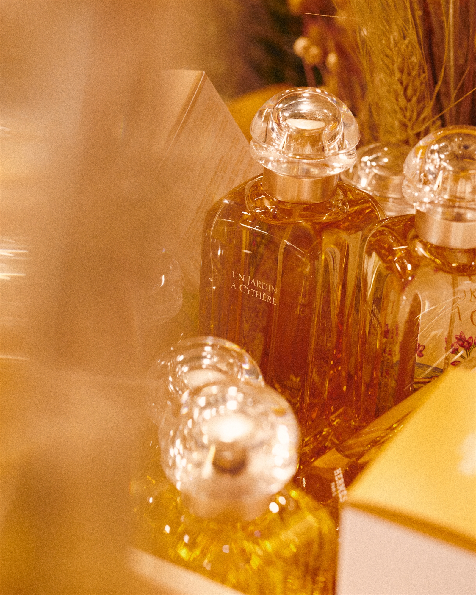 Λαμπερά brands με άρωμα θυμάρι-3