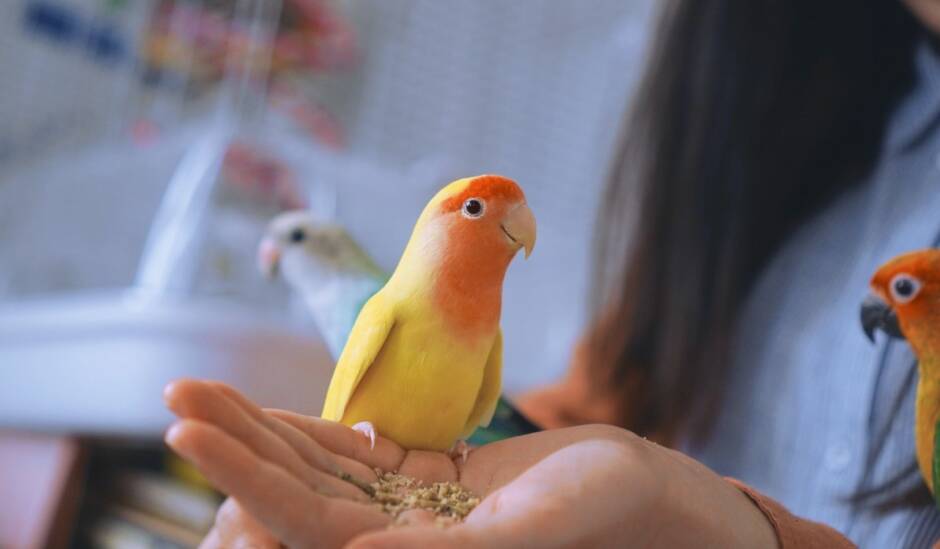 η-πολιτιστική-ατζέντα-της-τετάρτης-08-03-562311565