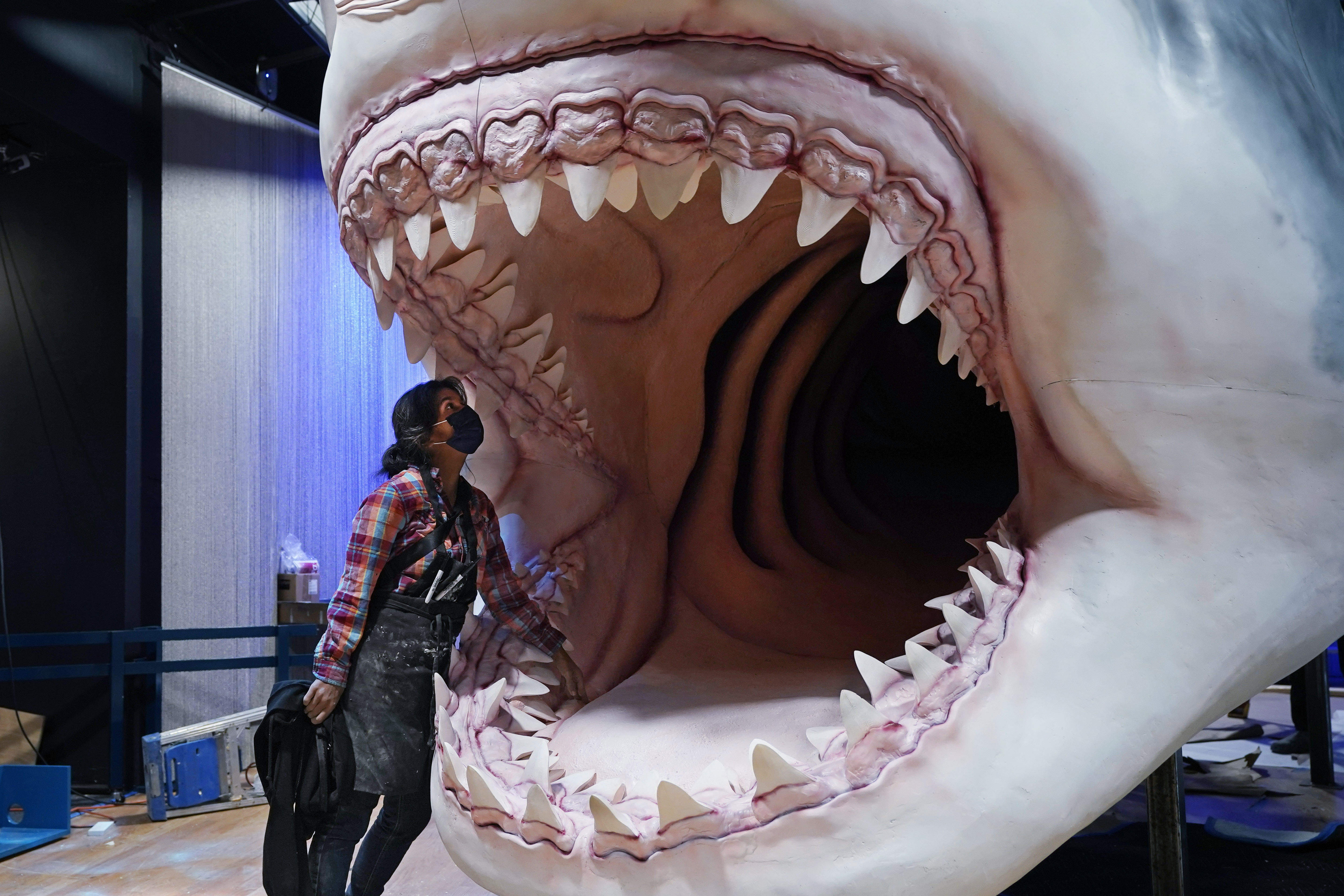 Ποιο είναι το ζώο με το ισχυρότερο δάγκωμα στον πλανήτη-1