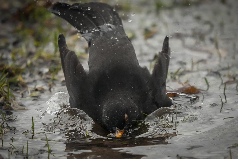 Ανταπόδοση-2