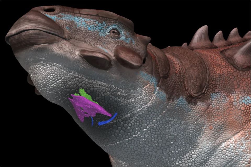 τέξας-h-ξηρασία-αποκάλυψε-ίχνη-δεινοσα-562300933