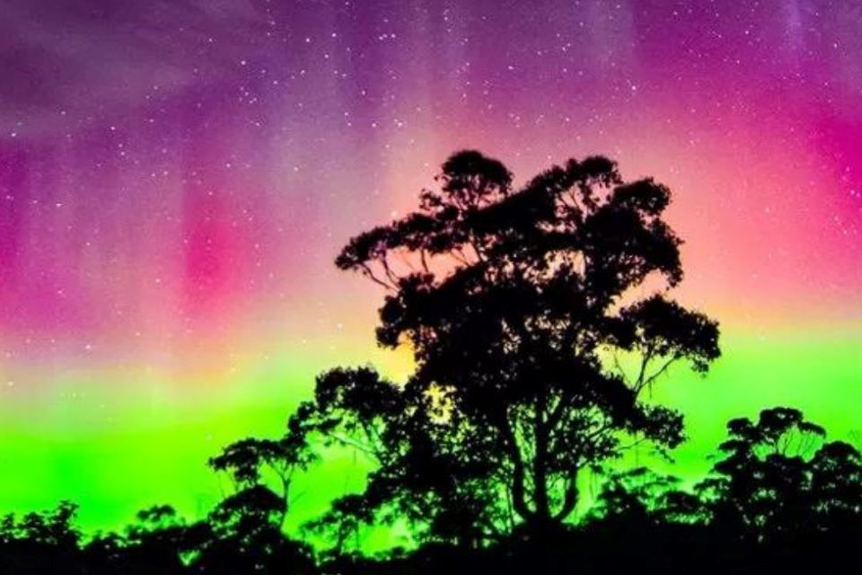 ασυνήθιστα-έντονο-φέτος-το-νότιο-σέ-562347151