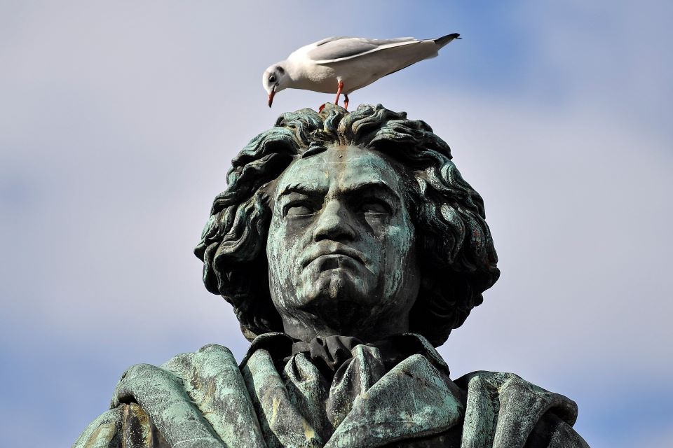 τι-προκάλεσε-τις-σοβαρές-ασθένειες-το-562334920