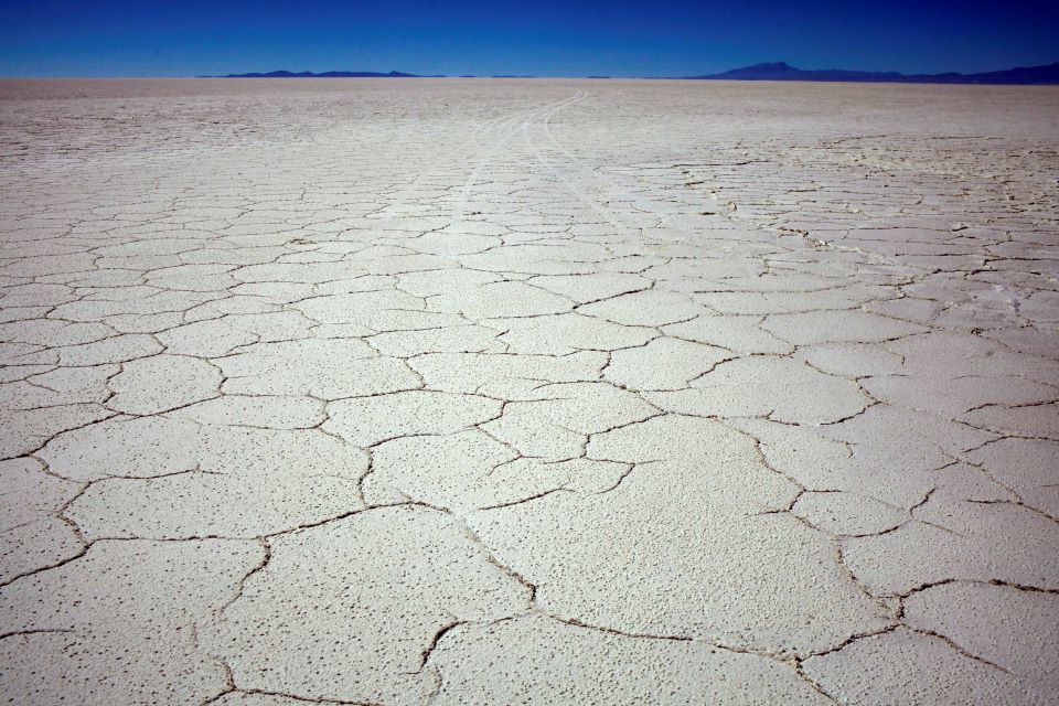 οι-επιστήμονες-έλυσαν-το-μυστήριο-των-562312831