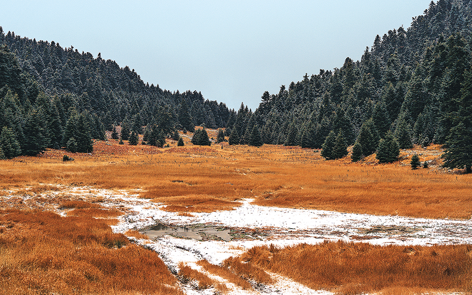 Διαβάστε στην «Καθημερινή της Κυριακής»-5