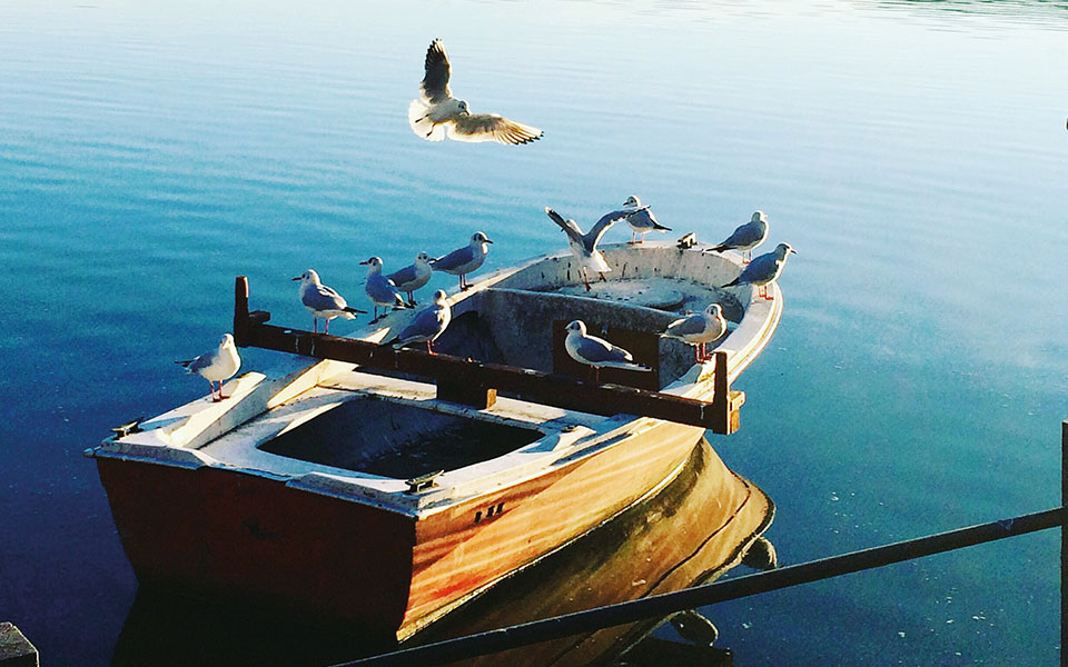 οινικές-διαδρομές-για-την-25η-μαρτίου-562324936