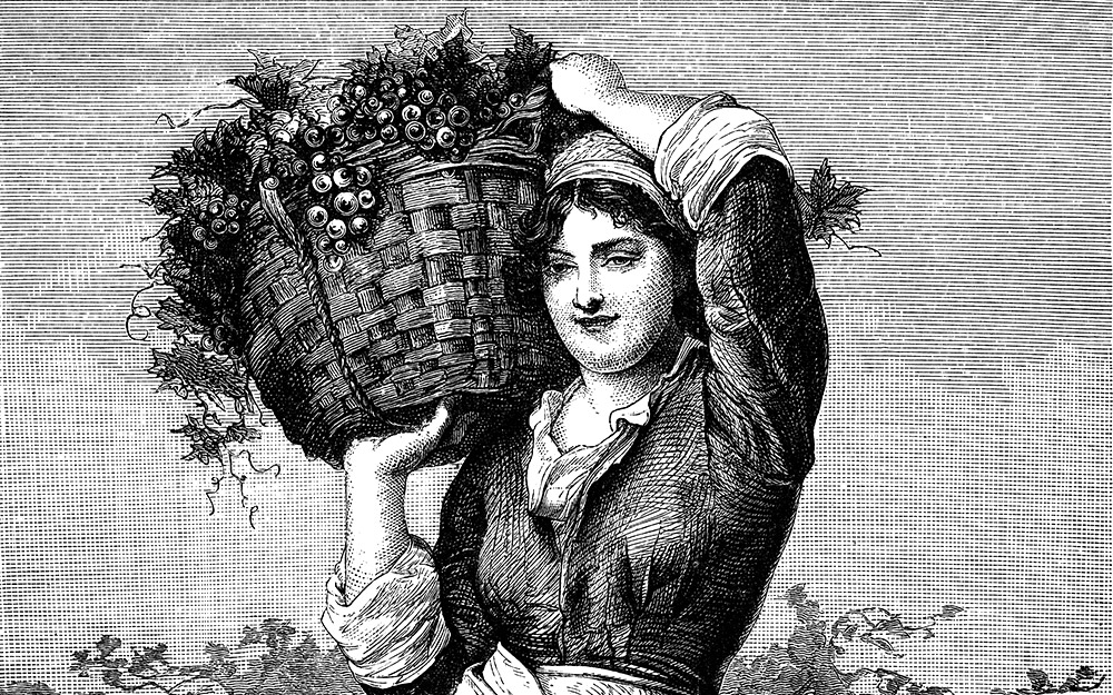 100-ελληνικά-κρασιά-με-αυτόχθονες-ζυμομύ-562314301