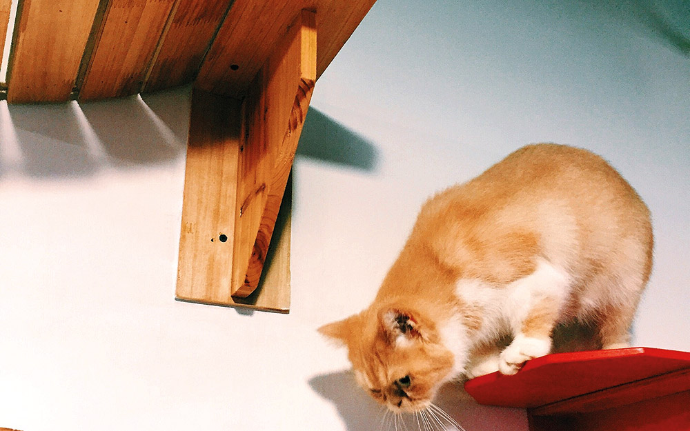 εσείς-γνωρίζατε-ότι-υπάρχουν-έπιπλα-γ-562346896