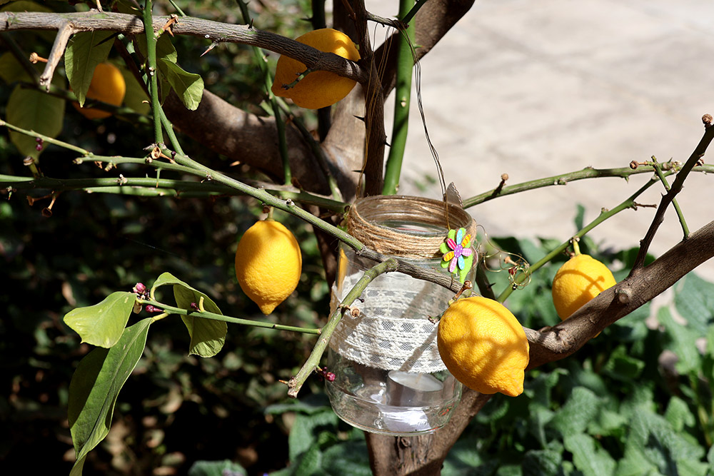 Πασχαλινή Εορταγορά «Λουλούδια & Χρώματα» στην Πόρτα Ανοιχτή-1