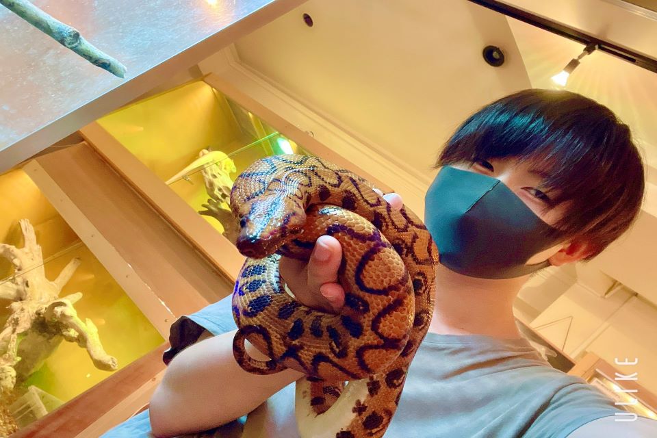 ιαπωνία-απειλούμενα-στη-φύση-διαθέσι-562331275