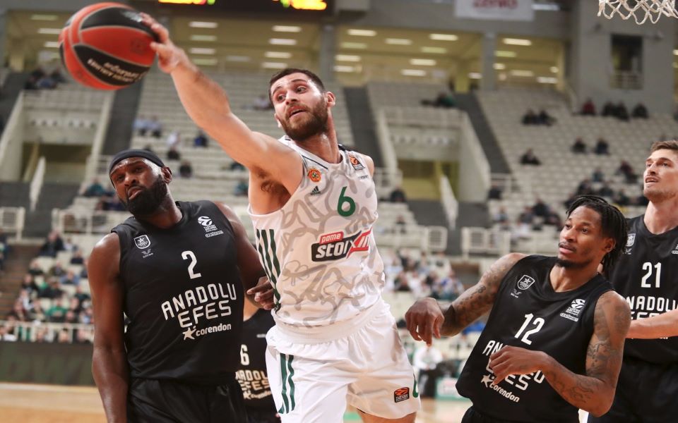 ένας-γκριγκόνις-δεν-έφερε-την-άνοιξη-562303309