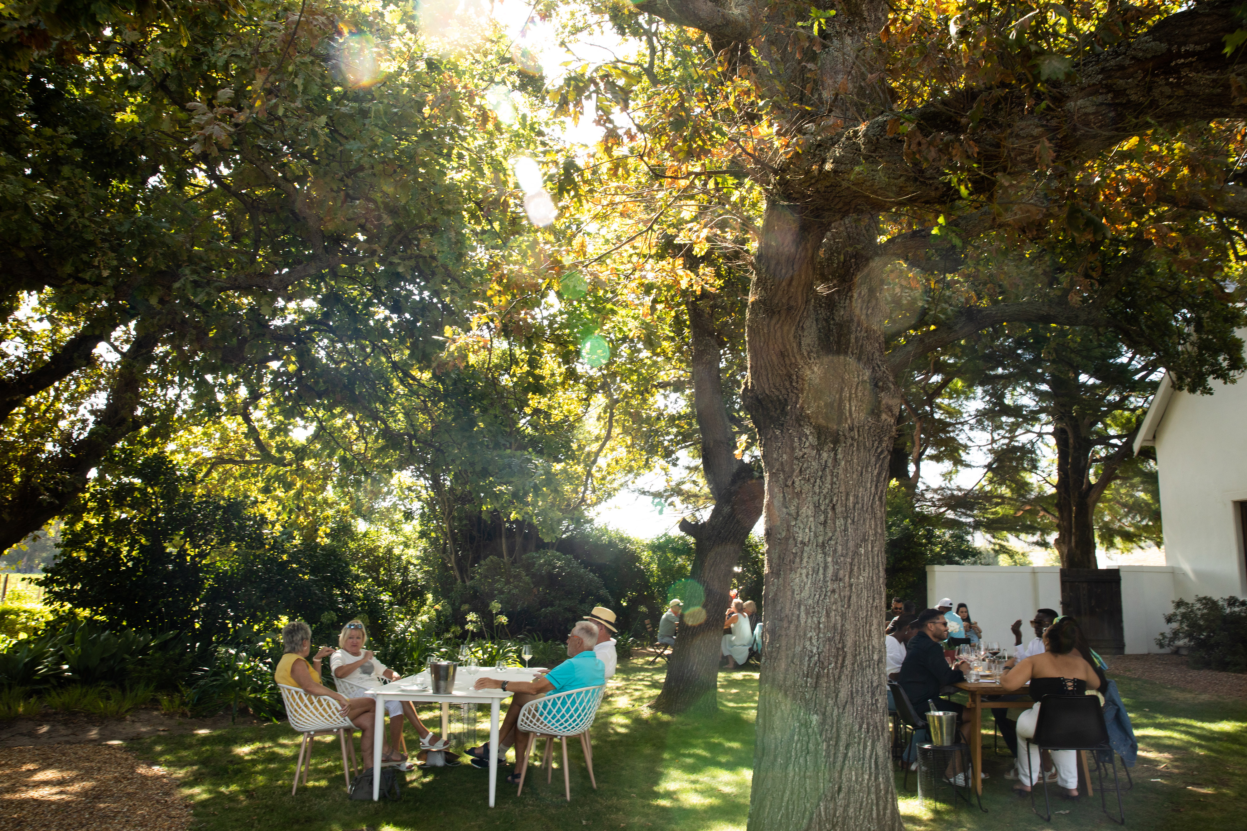 Εξερευνώντας τα κρασιά μαύρων οινοποιών στη Νότια Αφρική-2