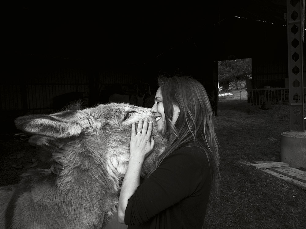 Γαϊδούρια: Τα μυστικά του DNA τους-4