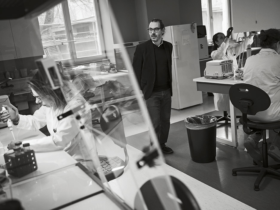 Γαϊδούρια: Τα μυστικά του DNA τους-2