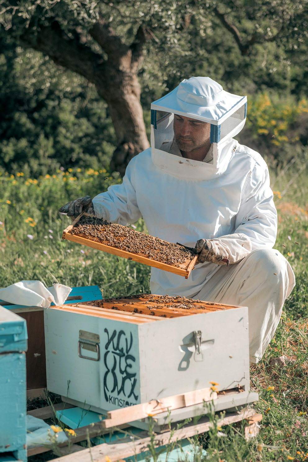 Εναλλακτική εμπειρία φιλοξενίας-1