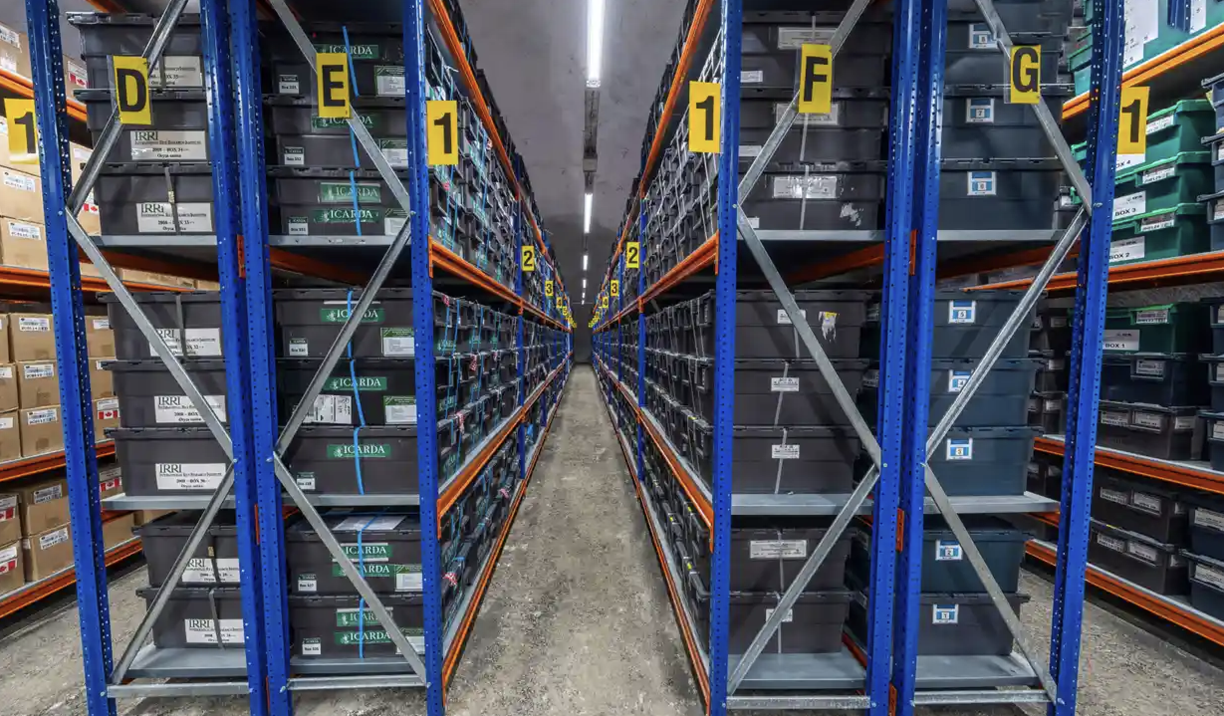 Παγκόσμια Τράπεζα Σπόρων: 3D περιήγηση στον παγωμένο «καθεδρικό ναό» της ανθρωπότητας-1