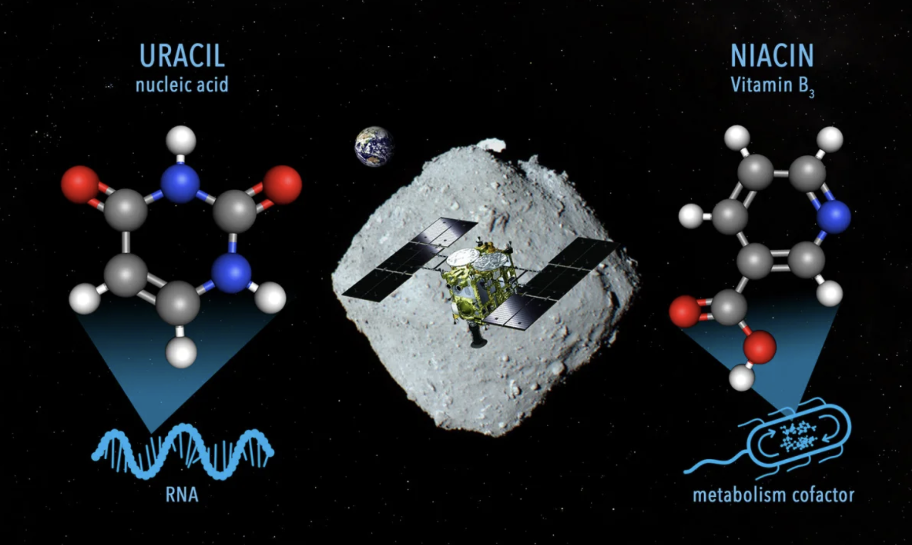 O αστεροειδής Ryugu έχει βιταμίνη Β3-1